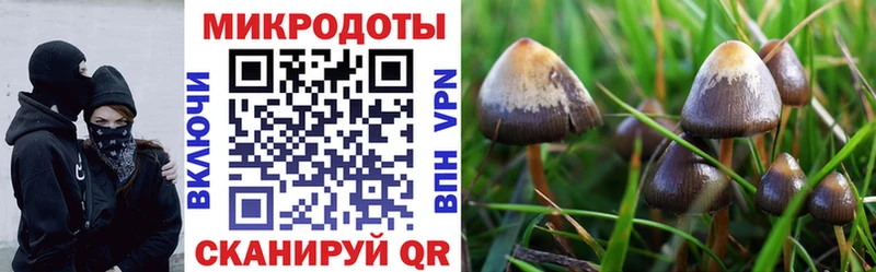 ссылка на мегу ТОР  Озёры  Псилоцибиновые грибы Psilocybine cubensis 